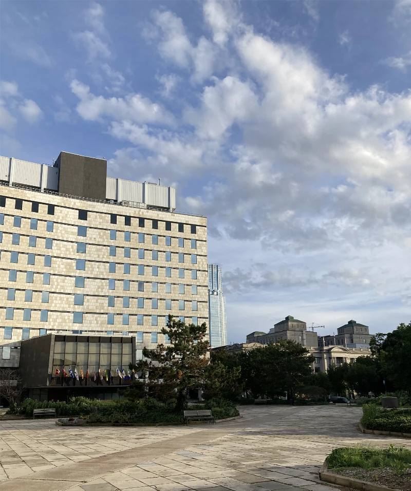 image_67233281