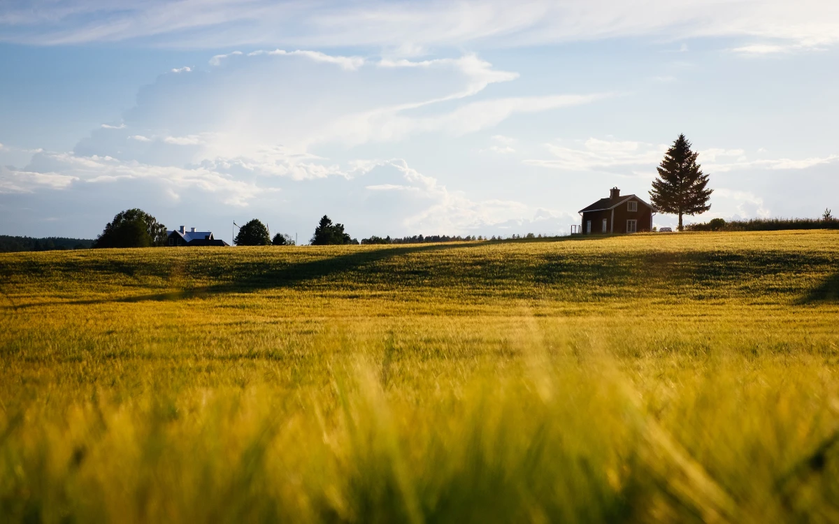 arno-smit-lzbFllF05XY-unsplash