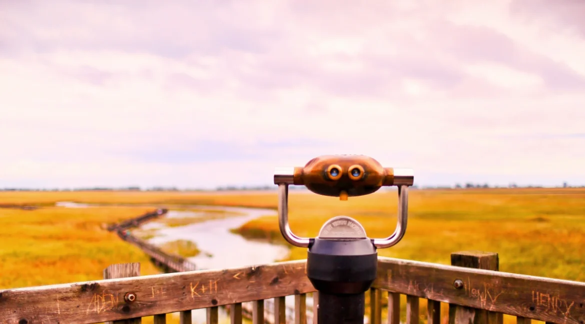 teresa-o-DgInMKwFmTg-unsplash